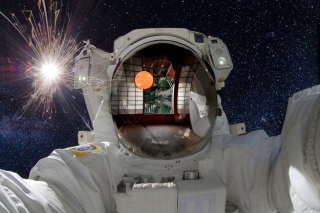 photomontage