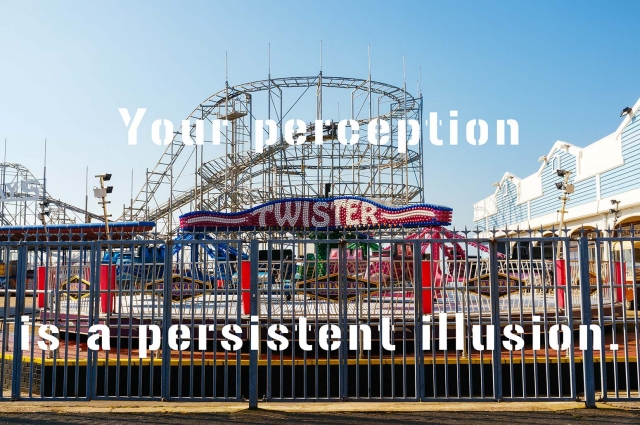 Persistent Illusion
